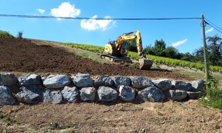 Mur de soutènement vigne dans le Beaujolais